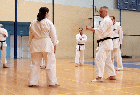 Sensei Eleni Suzuki demonstrating defense techniques